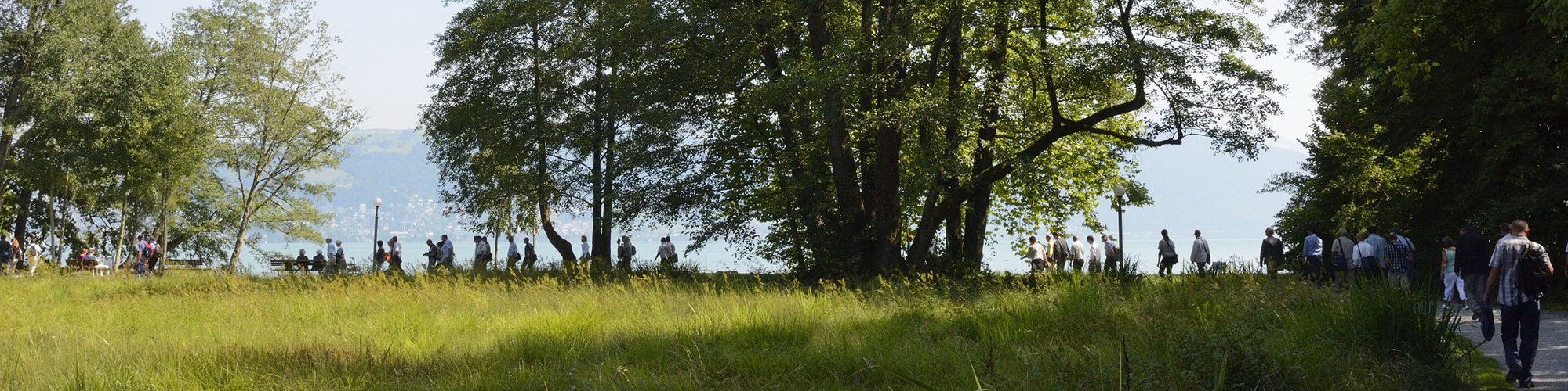Der Weg zum Zertifikat